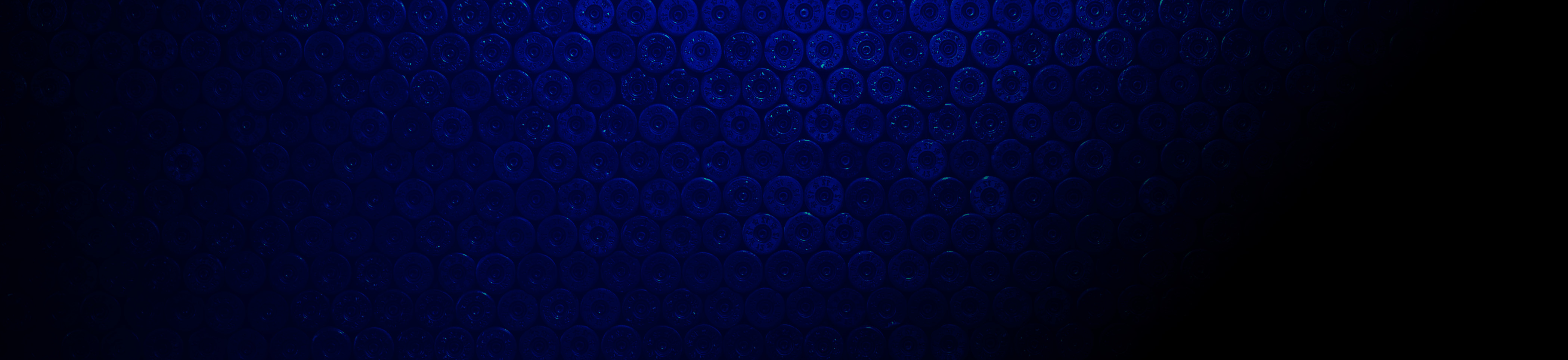 Descripción de la imagen 1